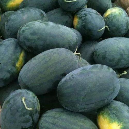 台北娜娜吃瓜黑料,揭秘娱乐圈背后的吃瓜黑料