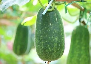 每日吃瓜热榜,盘点娱乐圈最新热点事件