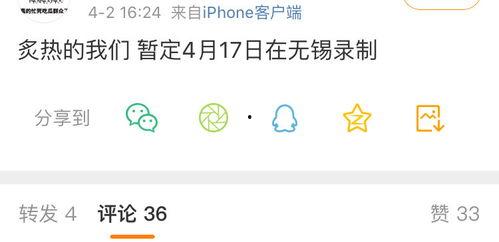 吃瓜网最新官网地址,带你畅游网络娱乐新天地