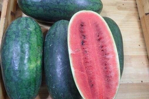 黑料吃瓜,黑料吃瓜背后的真相与内幕