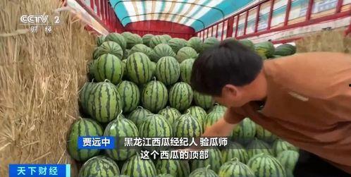 吃瓜中心,吃瓜中心带你领略明星幕后故事