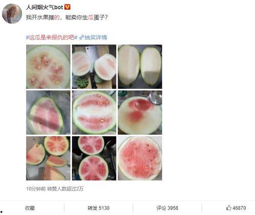 吃瓜投稿,网络舆论的狂欢与反思