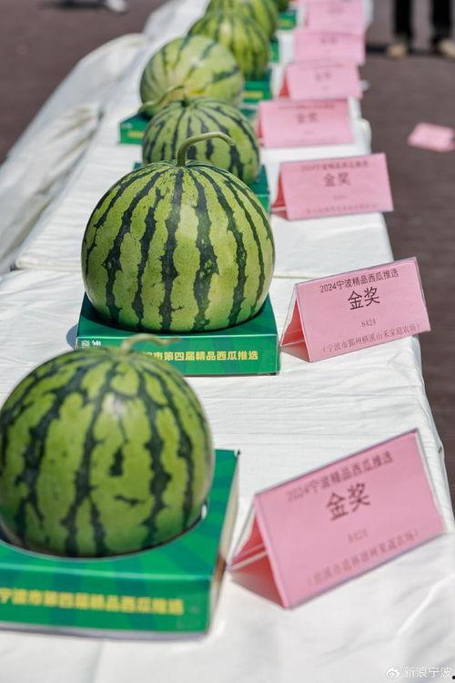 吃瓜资源,吃瓜资源带你领略明星幕后故事